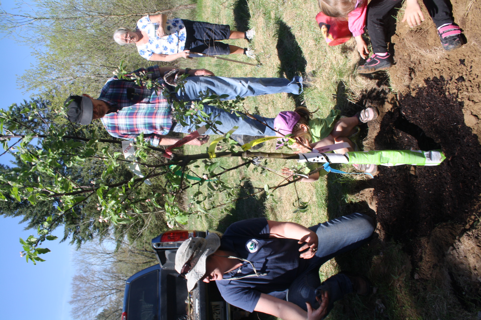 IMG_5468 — Ontario Native Plant Nursery Container Grown (705)4666290