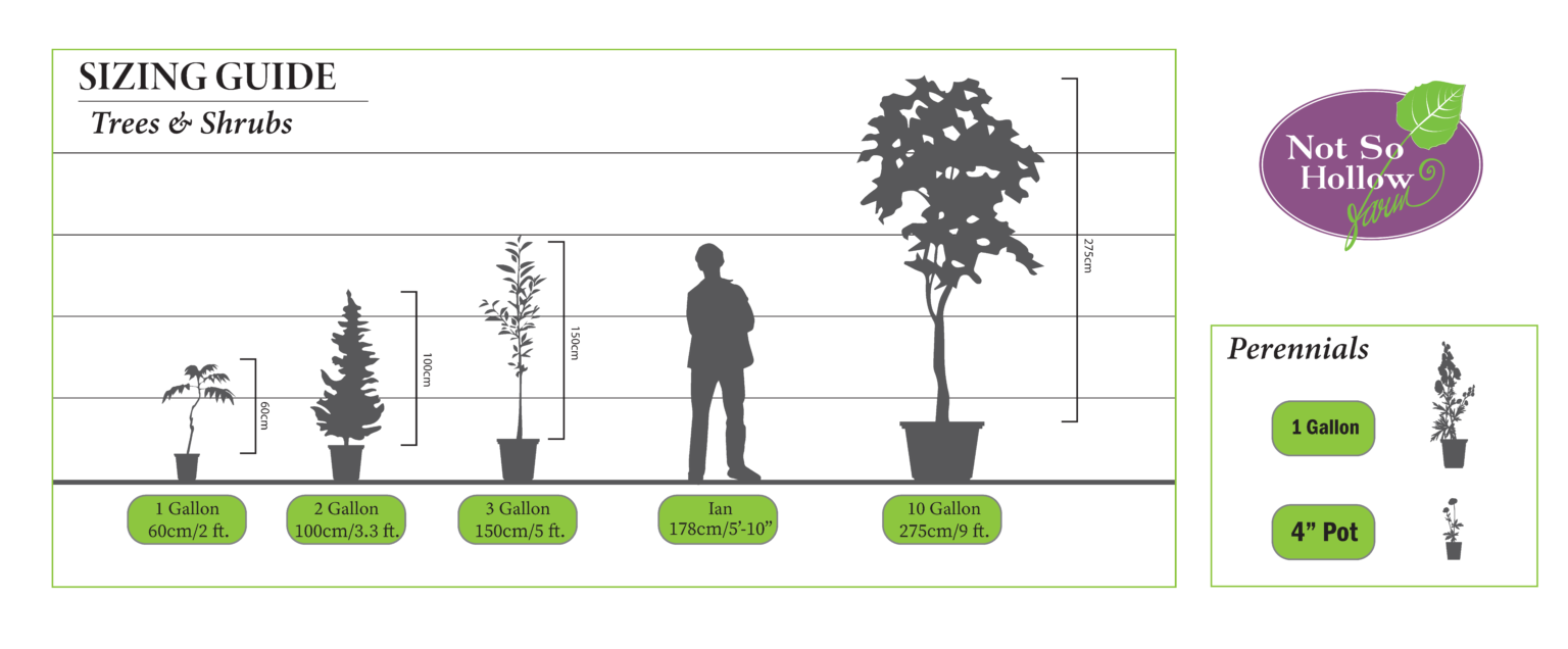 plant-sizing-info-ontario-native-plant-nursery-container-grown