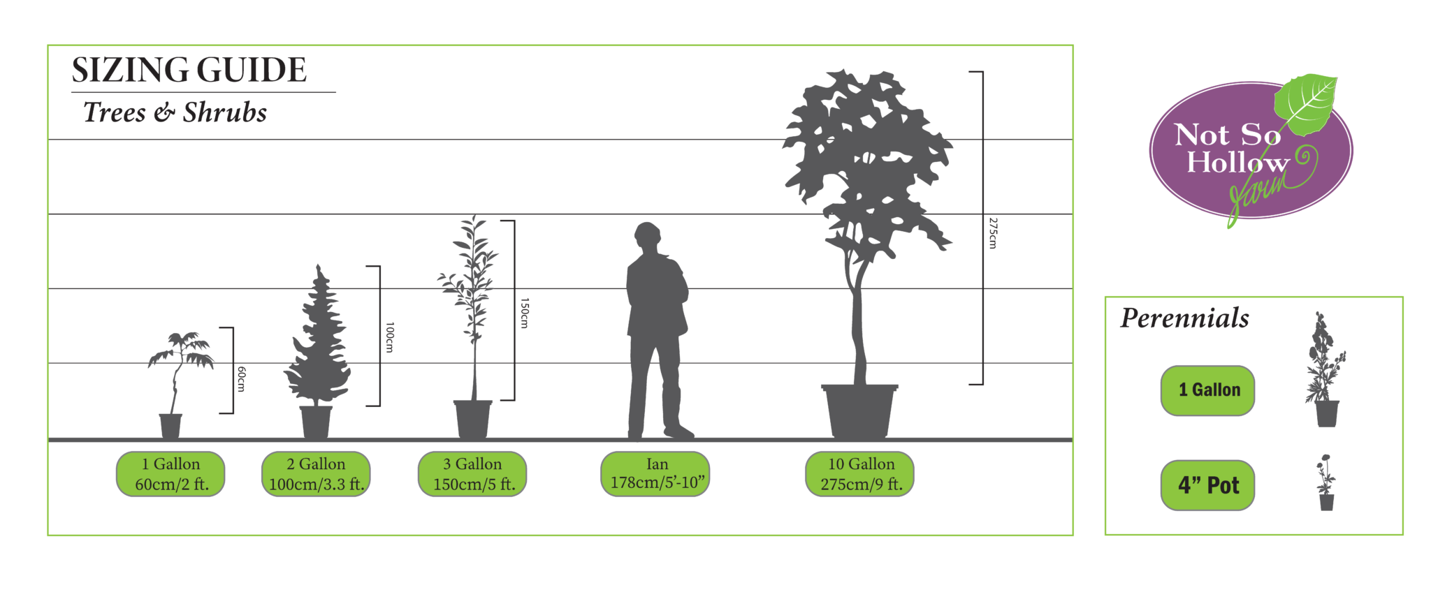 Plant Sizing Info — Ontario Native Plant Nursery Container Grown